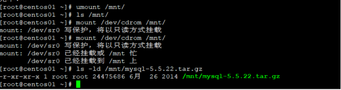 Mysql 数据库系统部署使用_数据库_08